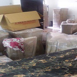 packers and movers services
